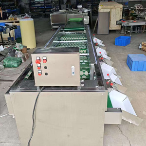 Máquina Automática Clasificadora de Frutas: Naranjas, Patatas, Tomates, Peras y Cerezas Azules - Product Image 2