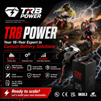 Batterie au lithium TRB 72V 30Ah 2220Wh compatible avec ETM RTR Lite 84V Charge IP65 Bluetooth BMS