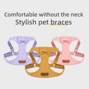 Özel Logo Modası Dokulu Tasarım Köpek Tasması Seti ve Tasma Seti Papyonlu Yavru Köpek Tasması Evcil Hayvan Ürünü - Product Image 2