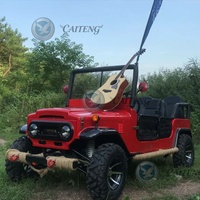 Buggy 4x4 1500cc 300cc 350cc 320cc Essence Mini Jeep Véhicule 4 Places Électrique à Batterie Dune Buggy Mini Jeep Automatique