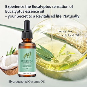 Huile Essentielle d'Eucalyptus Multi-Usages 30ml en Gros pour Soins Quotidiens des Cheveux, de la Peau et Hydratation Corporelle – Arôme Frais - Product Image 2