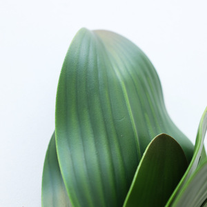 Plante en pot de phalaenopsis artificielle Ruilisi, feuilles très réalistes, décoration intérieure, verdure d'intérieur - Product Image 3