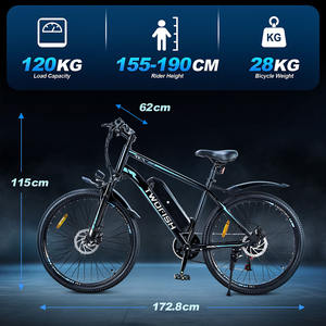 Vélo électrique TWOFISH TF-1 avec freins à disque, stock UK, 250W, 36V, 15Ah, 26 pouces, 25 km/h, autonomie maximale de 100 km - Product Image 5