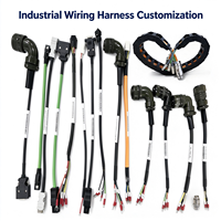 Rangkaian Kabel Harness Sensor Kustom untuk Peralatan Otomasi Industri, Mesin CNC, dan Sistem Kontrol