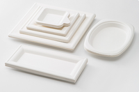 Vaisselle jetable en pulpe de canne à sucre, assiettes rectangulaires pour hot-dogs, plateaux à gâteaux, boîtes à pain avec couvercles, boîtes à emporter biodégradables