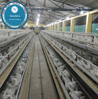 Nid de ponte à 24 trous pour poules pondeuses, en treillis soudé, équipement de cage à poules, clôture agricole en fil métallique - Directement de l'usine de Guangzhou