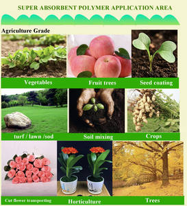 Beatum super hidro retenteur potásio poliacrílico para jardinagem - Product Image 6