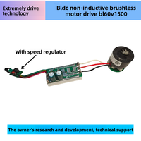 60V1500W Bldc Regulador de velocidad de placa de controlador de Motor sin escobillas de CC trifásico no inductivo de alta potencia para redes de comunicación