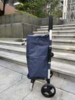Chariot de courses pliable à 2 poignées en plastique, ultra-léger et portable, écologique, facile à transporter, capacité de 55 L, 6 roues, résistant à l'usure