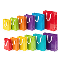 Sac de rangement extérieur en papier couché souple avec design imprimé UV personnalisable pour emballage et utilisation en extérieur