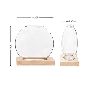 <span class=keywords><strong>Vaso</strong></span> <span class=keywords><strong>in</strong></span> <span class=keywords><strong>Vetro</strong></span> Trasparente Creativo Europeo Rotondo per Coltura Idroponica <span class=keywords><strong>di</strong></span> <span class=keywords><strong>Piante</strong></span> e Fiori per Soggiorno e Ufficio - Product Image 6