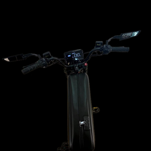 Vélo électrique tout-terrain puissant 3000W pour adultes avec batterie amovible et modèle Ultra SK-2 - Product Image 5