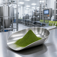 Poudre de thé vert matcha de qualité alimentaire pour l'industrie alimentaire et la production de boissons, norme européenne, vente en gros, approvisionnement OEM, EMT1A