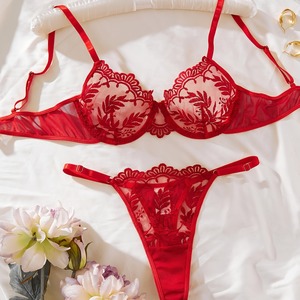 Conjunto de Lencería Sexy para Mujer con Bordado de Encaje Floral, Control Firme, Malla Ultrafina Transparente, Sujetador Push-Up, Tanga Exótica de Dos Piezas - Product Image 2