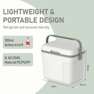 OEM/ODM 10L Modern Reusable PE Portable Handle Ice Chest <b>Cooler</b> with Lightweight Design for Travel and <b>Drinks</b> - Product Image 6