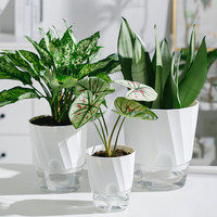Pot de fleurs auto-arrosant, pot de fleurs en plastique hydroponique, pot de fleurs à absorption automatique d'eau, pot à bonsaï transparent à double couche