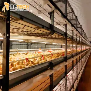 Automático jaula de pollos de engorde con equipos avicultura para animales Aves cría ganado
