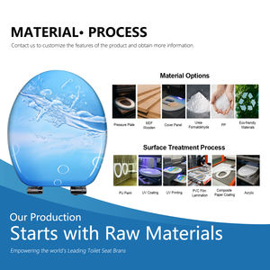 Özelleştirilebilir kalıplı ahşap klozet taharetliği arka yıkama için elektrikli tuvalet koltuk eki ve banyo için kadınsı yıkama - Product Image 4