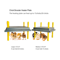 YYC thermostatique animaux réchauffeur pour animaux de compagnie chauffage volaille oiseau plaque chauffante bébé poussin couveuse chauffage