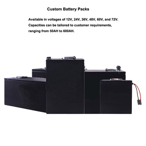 Elektrische motorfiets accu 51.2V 20-100Ah LiFePO4 Lithium-ion batterijpakket met 4000 cycli en <span class=keywords><strong>3</strong></span> jaar garantie voor scooter - Product Image 3