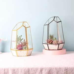 Pot de fleurs d'intérieur moderne, terrarium en verre art déco avec polygone géométrique, récipient en laiton pour <span class=keywords><strong>la</strong></span> décoration de plantes succulentes en forme de fougère. - Product Image 2