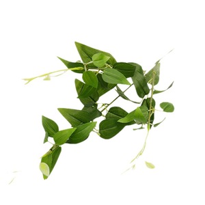 Hojas de Clematista Artificiales Qihao, Flor de Seda Verde, Decoración de Interiores para Bodas, Plantas Artificiales de Alta Simulación - Product Image 2