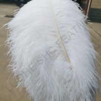 Hot Sale 70-75 cm Bunte Big Pole White Straußen flügel feder für Party Hochzeit Bühnen kleider Bühnen dekoration