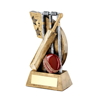 Trophées et médailles de la Coupe du monde de cricket en résine
