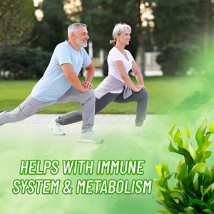 High Quality Sea Moss Gummies with Total Carbohydrate Help Detoxify Promote Clear Skin and Energy Immume System Metabolish Gummi - Product Image 3