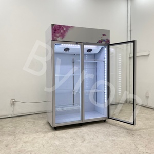 Enfriador Comercial <span class=keywords><strong>Byron</strong></span> para Flores Blancas, Sistema de Enfriamiento sin Escarcha y sin Drenaje para Floristerías - Product Image 5