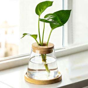 وعاء زجاجي صغير على شكل جبل للزراعة المائية مع غطاء خشبي وصينية للديكور الداخلي - Product Image 3