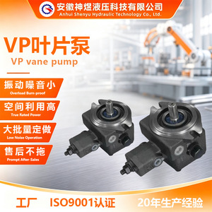 Pompe hydraulique à vane variable Shen Yu, en fonte, à installation horizontale par bride, avec compensation de pression - Product Image 4