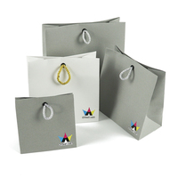 Sacs cadeaux en papier d'art recyclable écologique de luxe imprimés en gros, 250 g/m², avec poignées en ruban, pour cosmétiques, shampooing, mascara
