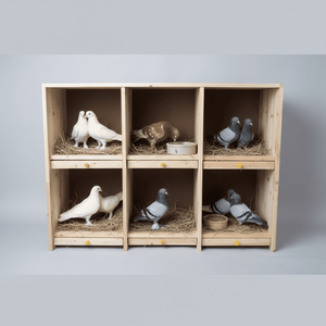 Set di Nidi per Piccioni in Legno Senza Porta, Gabbia Grande per Allevamento e Accoppiamento di Piccioni da Corsa, Varie Dimensioni - Product Image 3