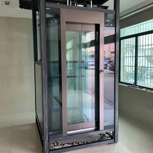 Household Villa Glass Home Elevator/small Elevator /Glass Home Elevator