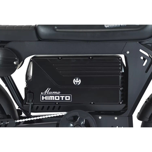 จักรยานไฟฟ้าอเนกประสงค์ Fat Bike ขนาดยาง 20 นิ้ว แบตเตอรี่ลิเธียม 60V 50Ah กำลังไฟ 3000W สำหรับผู้ใหญ่ ขับขี่ในเมืองและนอกเมือง 7 สปีด รุ่น EU USA SK-2 Fat Bik - Product Image 2