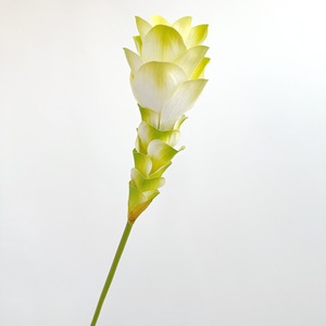 <span class=keywords><strong>Flores</strong></span> <span class=keywords><strong>Artificiales</strong></span> de Jengibre con Tacto Real, Plantas Tropicales para Decoración del Hogar y Arreglos de Boda - Product Image 3