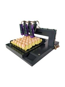 Farm Use Automatic Egg Inkjet Printer 3 Head <b>Date</b> Coding Machine Food Grade Edible Ink Coding Equipment for Eggshell - Product Image 4