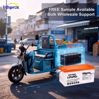 Scooter Lithium-Batterie 48V100AH 4,8KWh Premium Lithium-Eisenphosphat Vibrationsfest Hochleistungsbatterie für Elektrorollstuhl-Motor