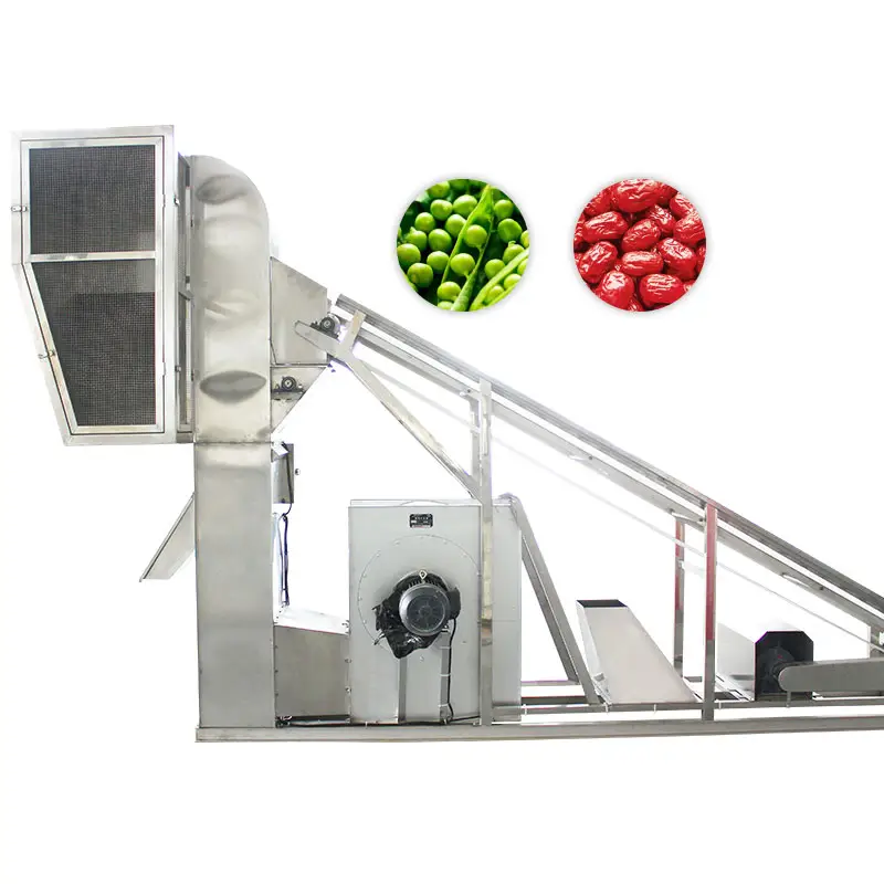 Máquina de clasificación para vegetales, separador de aire, clasificación de hoja de perejil, máquina de clasificación de viento