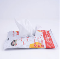 Nouvelles lingettes jetables DONO pour animaux de compagnie, 65 g/m², en forme de gants, douces, à base de plantes