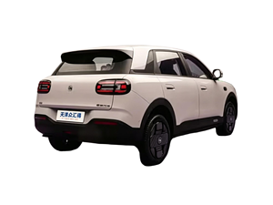 Chery QQ3 EV, Mini Auto Listo para Enviar, con Tanque Lleno y Documentación Completa, Preparado para Exportación - Product Image 6