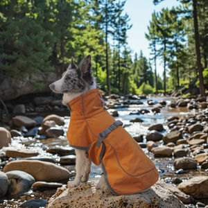 Kustom elegan pola sederhana dicetak poliester pakaian anjing ikan Putri mewah aplikasi hewan peliharaan gaya klasik tahan air - Product Image 3