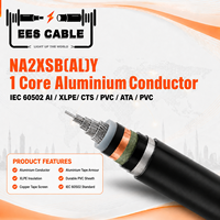 Câble d'alimentation moyenne tension NA2XSB(AL)Y 1 conducteur en aluminium, isolation XLPE, gaine en PVC, blindage en bande d'aluminium, norme IEC 60502