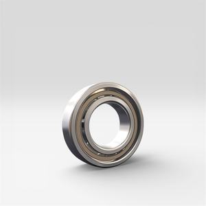 Rodamiento de Acero Inoxidable 6004 20x42x12mm S6004 2RS, Resistente al Agua, Grado Alimenticio, para Bombas, Motores, Envasado de Bebidas, Uso Marino - Product Image 1