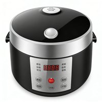Mini cuiseur à riz numérique multifonction 1,0 L, pour riz, bouillie, soupe, nouilles, gâteaux, double revêtement antiadhésif, 350W