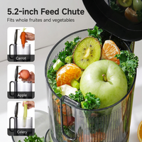Extracteur de jus lent électrique en acier inoxydable 350 ml pour vente en gros OEM, presse à froid, avec logo personnalisé et marque privée