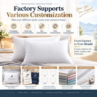 Oreiller en duvet de canard 860g, direct usine, moelleux, rebond 3S, conception à 3 compartiments, silencieux, anti-évasion de duvet, pour hôtel et maison, multi-usages, OEM ODM