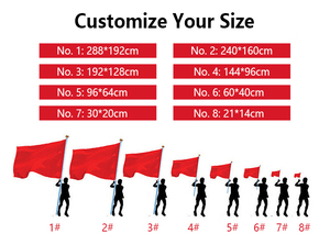 Custom 3x5 ft National Flying Polyester Star <b>Flags</b> for All Countries with logo Business Custom Print Banners Team <b>Flag</b> - Product Image 3