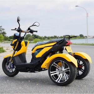 Triciclo Elettrico Aperto 1000W, Batteria al Piombo-Acido 60V, Logo e Colore Personalizzabili, Tre Ruote, 30-50km/h, Autonomia 30-50km - Product Image 1